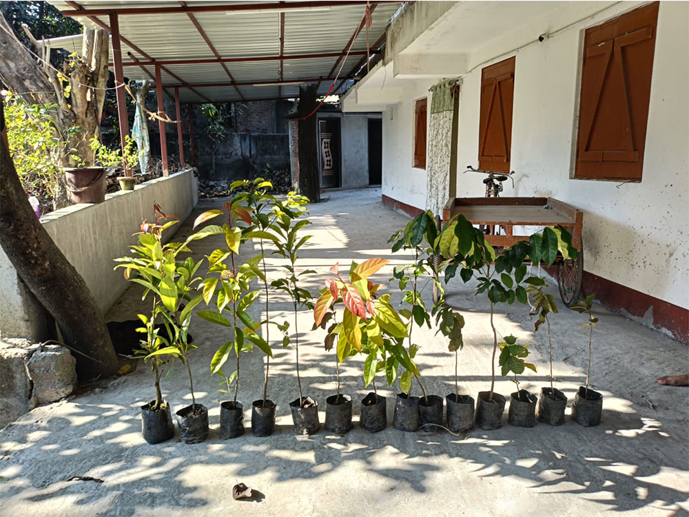 gallery